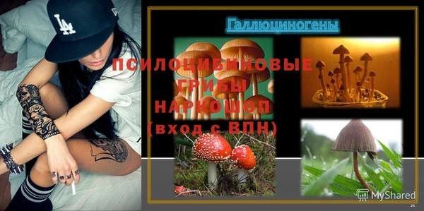 jwh Михайловск