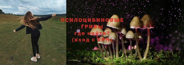 МДМА Михайловка